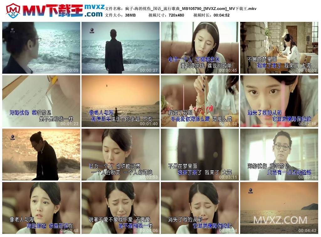 疯子-海的忧伤_国语_流行歌曲_MB105790